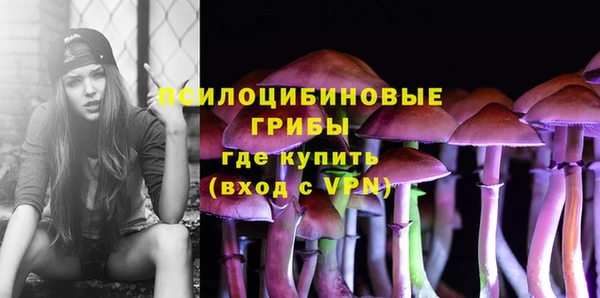 дживик Горняк