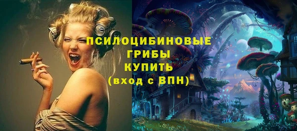дживик Горняк