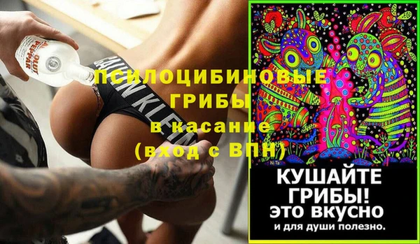 дживик Горняк