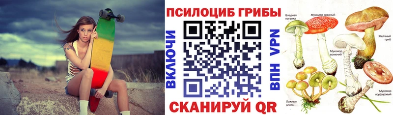 Псилоцибиновые грибы Psilocybine cubensis  Купить где  Североморск 